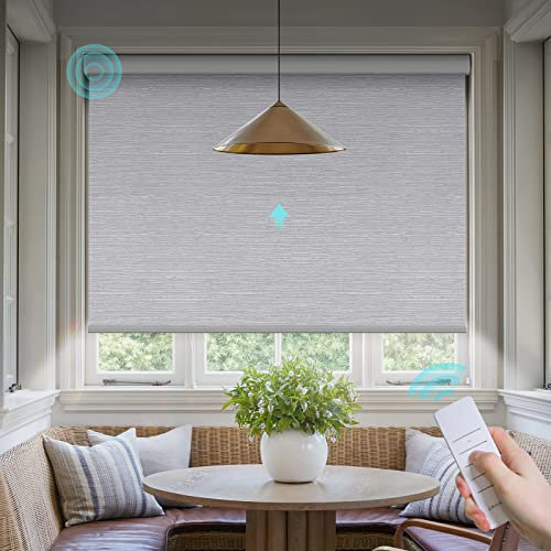 Motorized Blinds with Remote: Canisteo Battery Powered Control Electric Smart Roller Blinds Shades with Remote for Windows Cordless 100% Blackout, Grey, 47 W X 72 H