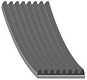 febi bilstein 34198 Keilrippenriemen 8 Rippenanzahl, 1 Stück