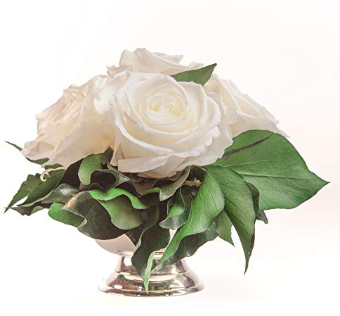 ROSEMARIE SCHULZ Heidelberg Rosenbox Blumenbox Infinity Rosen in silberfarbener Schale 6 ewige Rose konserviert Blumenarrangement langhaltend (Weiss, 6 Rosen)