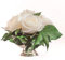 ROSEMARIE SCHULZ Heidelberg Rosenbox Blumenbox Infinity Rosen in silberfarbener Schale 6 ewige Rose konserviert Blumenarrangement langhaltend (Weiss, 6 Rosen)