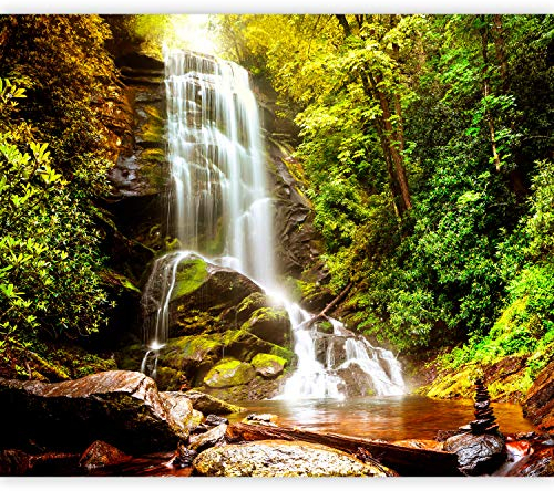 murando Fototapete selbstklebend Wasserfall 343x256cm Foto Tapete Tapetenfolie Möbelfolie Wandverkleidung Wandtapete Motivtapeten Bildtapete Wohnzimmer 3d Effekt Modern Natur Landschaft Wald See