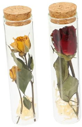 Zerodeko 2Pcs Botella De Deseos De Vidrio Seco Contenedor Transparente Botella Seca Contenedores Pequeños Botella De Deseo Mini Terrario Flores Secas Botellas Contenedores De Brillo De