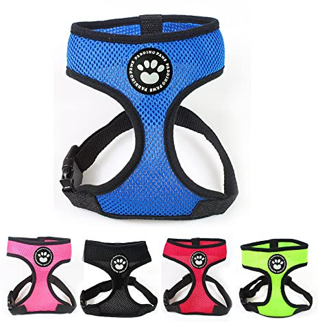 PaddingPaws Waterproof Soft Mesh Fabric Dog Puppy Pet Adjustable Harness Lead Leash Clip (M, Blue)