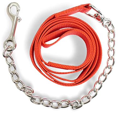Führkette für Pferde | Sicheres Führen mit Eisenkette & Nylon Handgriff | Führleine geeignet für Hengst Hunde Pony Esel | Länge 2,10 m (Rot)