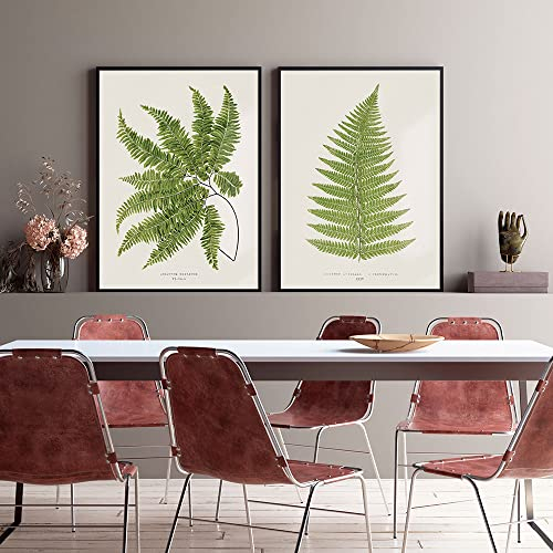 Pflanzenbilder-Vintage-Botanisches Poster Farn-Leinwand Minimalistisches Laub Natürliche Malerei Blätter Kunstdruck Wandbild Wohnzimmer Küche Heim Dekoration-30*50Cm/12*20 Zoll-2 Stück (Ungerahmt)
