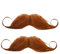 2-Stück Schnurrbart zum Ankleben,Schnauzer zum Ankleben,Fake Bart,Fake Mustache,Falscher Bart Kostüm,Schnurbart Kleben Selbstklebend,Moustache Herrenm Verkleidung,Detektiv Barts (2 Stück Braun)