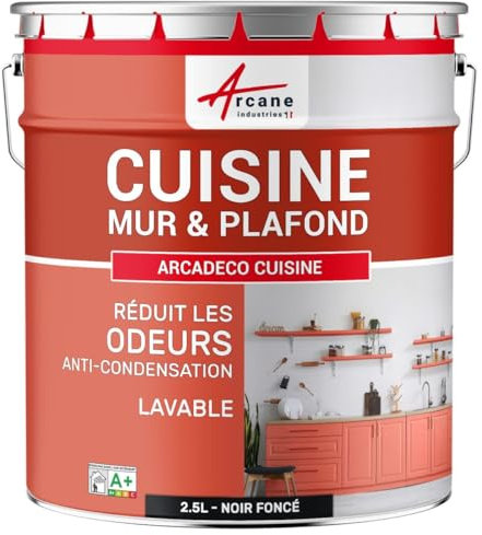 Pintura lavable para cocina, pared y techo: ARCADECO COCINA - 2.5 L RAL 9005 - Negro intenso - ARCANE INDUSTRIES