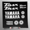Stickersland® - Kit de adhesivos compatibles con T-Max depósito y casco de moto | Vinilo preespaciado de fácil aplicación | letras logos | Stickersland® (blanco brillante)