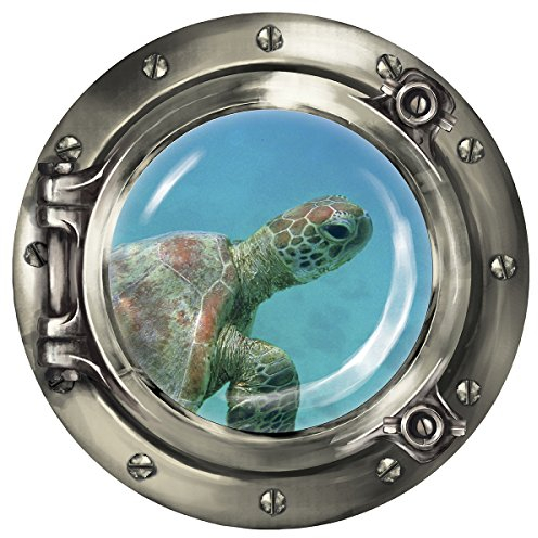 Wandkings Wandsticker Bullauge „Unterwasserwelt - Baby Schildkröte unter Wasser - 40 x 40 cm SILBER