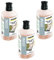 Karcher Lot de 3 flacons de détergent pour nettoyage de façade 3 en 1 pour nettoyeur haute pression K2 K4 K5 K7 1 l