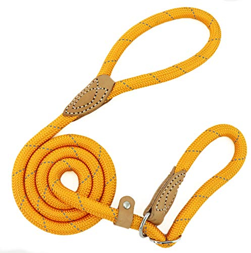 Grand Line Slip Lead Dog Leash - Anti Pull Dog Lead with 1.5m Reflective Training Rope, No Collar Needed for Small, Medium, Large Dogs & Cats (Orange,M)