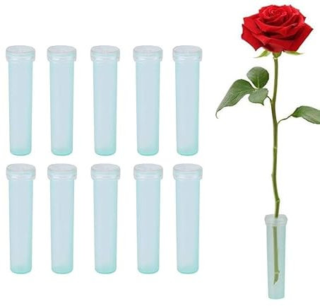 GNAUMORE Reagenzgläser für Blume,10 Stück Orchideenröhrchen Röhrchen mit Deckel,Blumen Wasserröhrchen mit Kappen,Wiederverwendbare und Langlebige Blumenröhrchen für Blumen Pflanzen