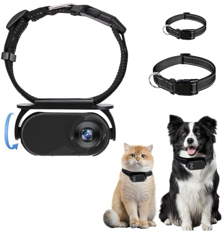 Topiky PET -Kragenkamera, HD 1080p CAT -Kamerakragen mit Videoaufzeichnungen, Einstellbare Magnetsport Action Kamera für Outdoor, Körperkamera für PET Vorräte (Black)