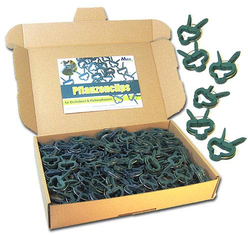 Pflanzenclips 100 Stück stabile Clips Pflanzenklammern (kleine Clips)