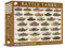 Coach House Battle Tanks Through The Ages Collection 1000 Piece Jigsaw, Challenging Puzzles for Adults, 1000 puzzle, Multi-Coloured