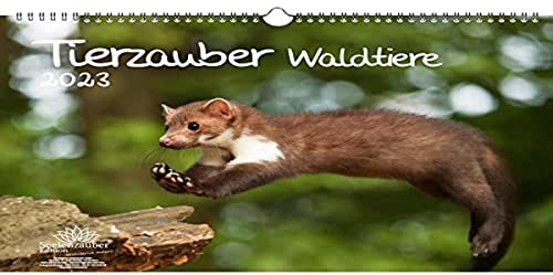Tierzauber Waldtiere DIN A3 Kalender für 2023 Tiere im Wald - Seelenzauber, mehrfarbig, KN2023-3W-0036-D-0