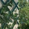 Treillis mural de jardin extensible, treillis polyvalent en plastique PVC, pour décoration de plantes grimpantes, cloisonnement, 1,8 m x 30 cm (1 pièce)