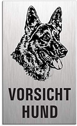 Türschild Vorsicht Hund 100x60 mm Aluminiumschild glashart eloxiert Edelstahloptik selbstklebend Nr.44663-S