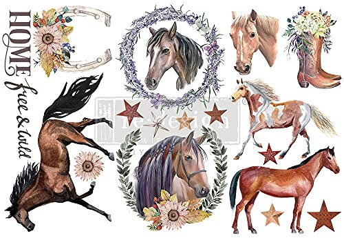Prima Marketing Re-Design Decor Transfers 6X12 3/Sheets-Wild Soul -RE653422