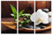 AREDE 3er Set Wandkunst Gemälde Bild Poster Weiße Orchidee mit schwarzen Steinen | 90 x 60 cm | Wandbilder Wanddekoration Home Office Wohnzimmer Schlafzimmer Dekoration | Fertig zum Aufhängen