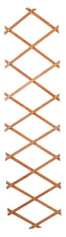 SUNNYDAYS Mon Jardin Treillis en Bois Extensible 180X30X0,7CM