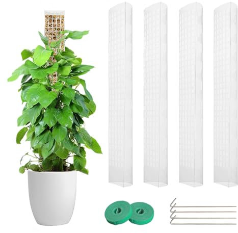 Lot de 4 tiges de mousse en plastique de 61 cm pour plantes grimpantes et monstera, compatibles avec la mousse de tourbe, idéal pour le jardin intérieur, support solide pour plantes, extensible et