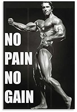 KFMD Fitness-Poster im Vintage-Stil, Bodybuilding Arnold Schwarzenegger 'No Pain No Gain', für Raumästhetik, 60 x 90 cm
