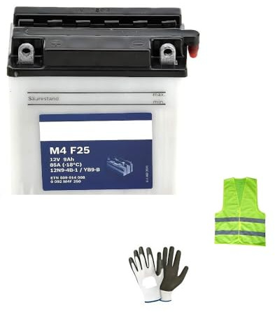 Kompatibel mit Piaggio Typhoon 2T / E2 50 ab Baujahr 2005 bis 2011 Batterie Bosch YB9-B M4F250 komplett mit L-Iquid Batterien 9 Ampere 12 Volt Motorrad Scooter 136 x 76 x 134 mm