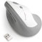 Kensington Pro Fit Ergo Souris verticale sans fil Gris (K75520WW)