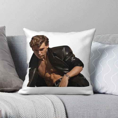 Austin Butler quadratischer Kissenbezug, Polyester-Leinen, Samt, bedruckt, Reißverschluss, Dekor, Sofa, Sitz, Kissenbezug, Großhandel