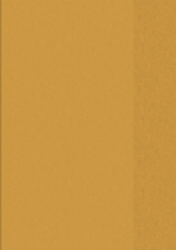 Brunnen 104050540 Hefthülle / Heftumschlag (A5, Folie, transparent, mit Namensschild in der Einstecktasche) orange