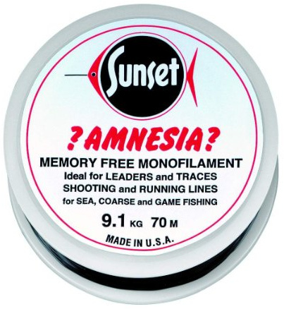 Jenzi Amnesia Leader Vorfach Schwarz 15lbs 100m