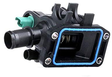 Facet 78486 Thermostat d'eau