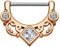 Piercingfaktor Brustpiercing Brustwarzen Intimpiercing Nippelpiercing Barbell Intim Nippel Brust Piercing Clicker Ring Tribal Kristall Quadrat Rosegold