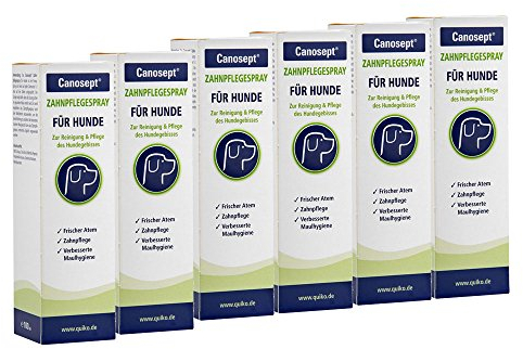Canosept Zahnpflegespray 6 x 100ml