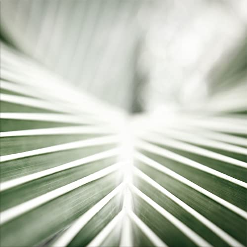 artissimo Glasbild 30x30 cm tropisches Blatt Close-up AG4058A – Bild aus Glas, Wandbild Natur modern grün, botanische Wanddeko quadratisch