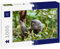 Lais Puzzle Ein Koala in Australien 1000 Teile