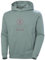 Helly Hansen Core Graphic Sweat à Capuche Shirt, 489 Cactus, Large Homme