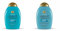 OGX Renewing Argan Oil of Morocco Shampoo (385 ml), regenerierendes Haarpflege mit marokkanischem Arganöl, Volumenshampoo, sulfatfrei (Verpackung kann variieren) (Packung mit 2)