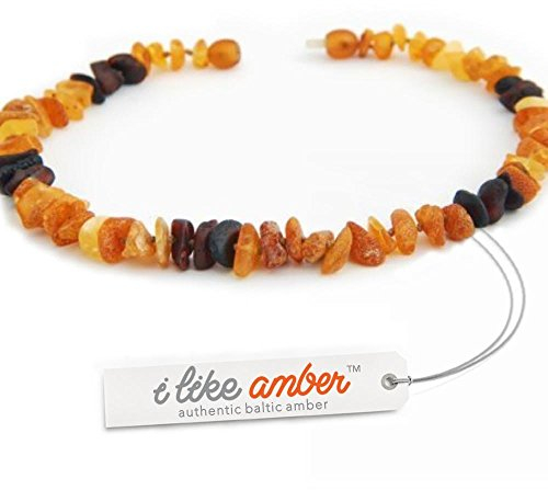 ilikeamber.com Bernsteinkette Hund, Bernstein Halsband Hund, Zeckenschutz Katze & Hunde, 100% Baltischer Bernstein roh aus Litauen