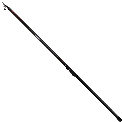 Ultimate Supreme Bolo 6.0M | Bologneserute
