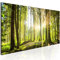B&D XXL - Wandbilder XXL Wald 150x50 cm 1 tlg Wand Deko Leinwand Bilder Groß Wandbild Wohnzimmer Bild Schlafzimmer Kunstdruck Panoramabild - Waldlandschaft Natur Bäume Sonnenaufgang c-B-0077-b-b