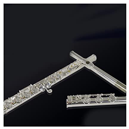 flöte Instrument Querflöte Einsteiger Einsteiger Musikinstrument 16 Offene Und Geschlossene Löcher Versilberte Primärpfeife (Color : 17 Close)