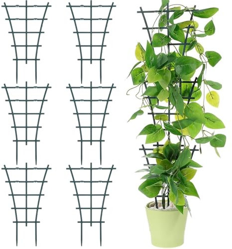 Lot de 6 tuteurs pour plantes d'intérieur - Durable et résistant à la corrosion - Réutilisable - Pour mini plantes grimpantes