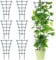 Lot de 6 tuteurs pour plantes d'intérieur - Durable et résistant à la corrosion - Réutilisable - Pour mini plantes grimpantes