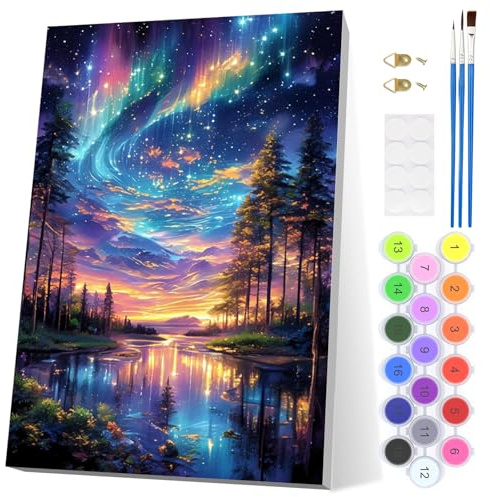 EOBROMD Aurora Pintar por Numeros Adultos, Bosque Pintura por Numeros con Marco, Paisajes Nocturno Kit de Pintura al óleo de Lienzo DIY para, Pigmento Acrílico, Decoración para el Hogar 20x30cm