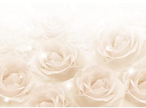 Runa Art Fototapete Blumen Rosen 352 x 250 cm Vlies Tapeten XXL Moderne Wandtapete Wohnzimmer Schlafzimmer Beige 9412011c