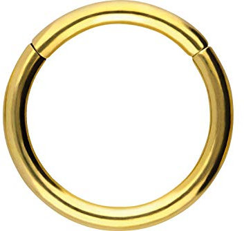 PIERCINGLINE Segmentring Clicker Titan Piercing Nase Septum Ohr Helix Lobe Tragus Goldfarben 2 x 14 mm