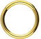 PIERCINGLINE Segmentring Clicker Titan Piercing Nase Septum Ohr Helix Lobe Tragus Goldfarben 2 x 14 mm