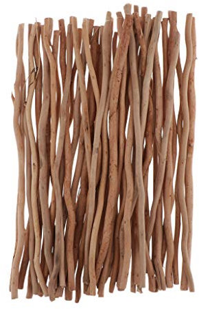 Harilla 50 Piezas Ramas Naturales Delgadas, Palos de Madera, Artesanía Modelo Decoración de Hogar, Foto atrezzo - tal como se describe, Los 40cm